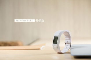 简述智能手环哪个品牌好